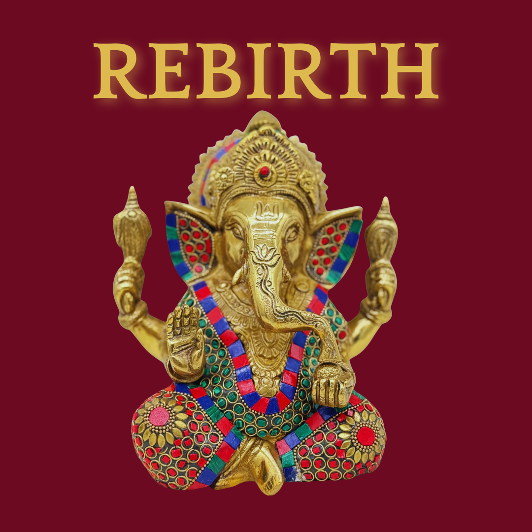 Rebirth Collection
