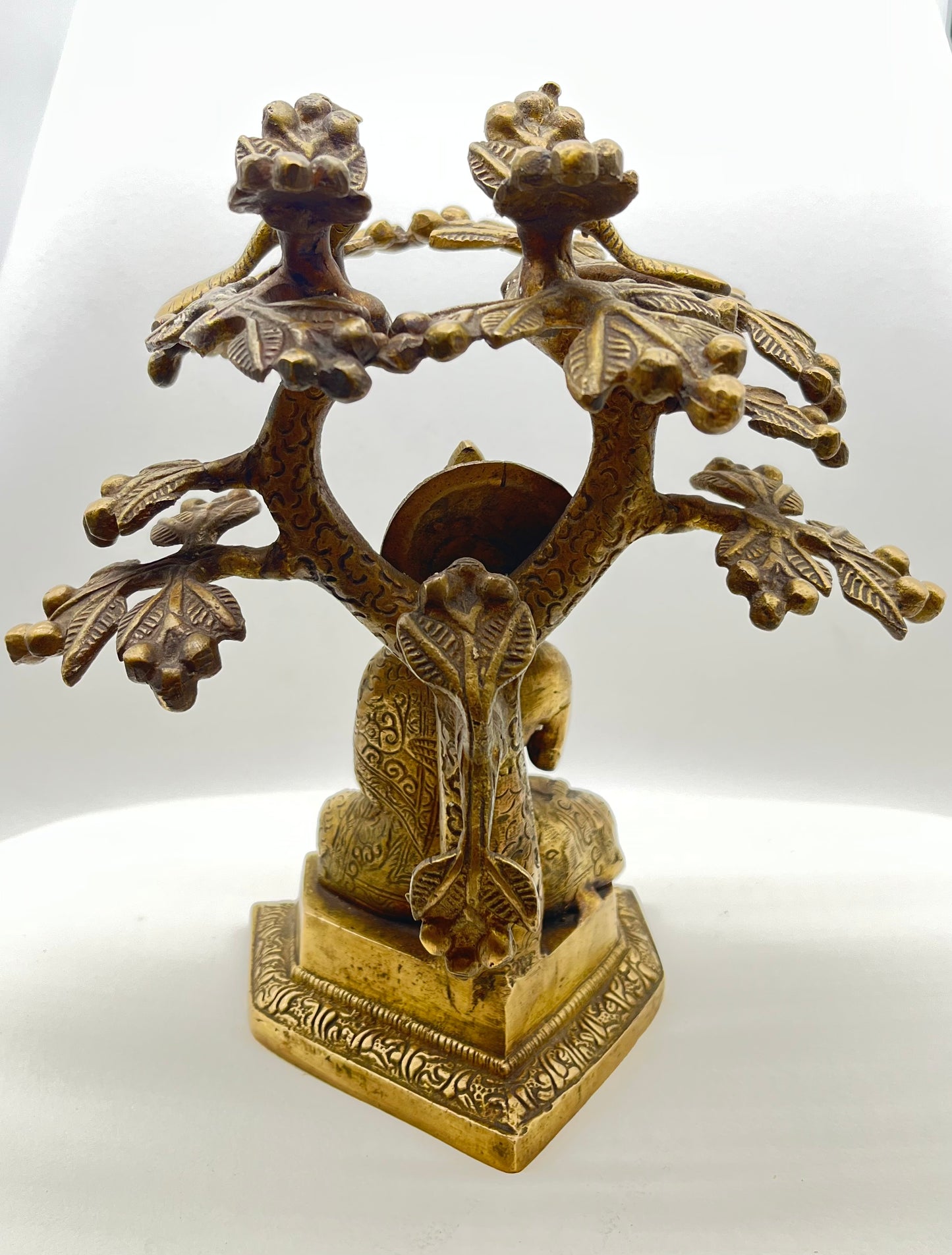 The Wise Bird