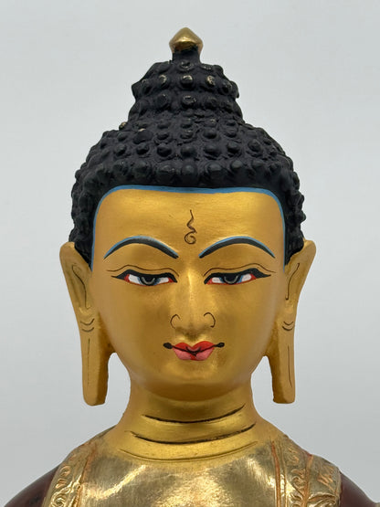 The Golden Jalap